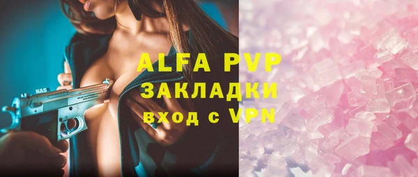 apvp Алзамай