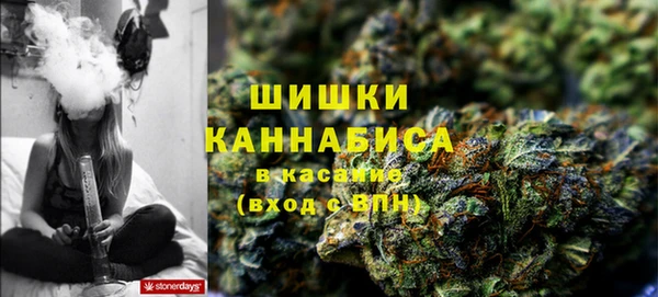 apvp Алзамай