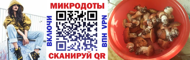 где можно купить наркотик  Судогда  Галлюциногенные грибы Psilocybine cubensis 
