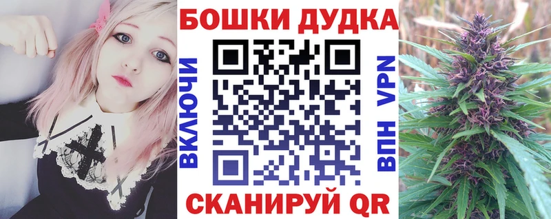 купить наркоту  Судогда  Бошки Шишки конопля 